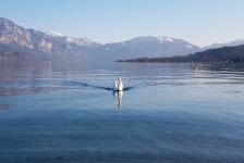 2019-03 Attersee - Hausboot